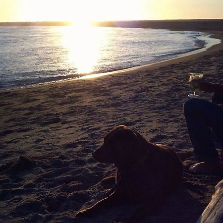 مدينة لينكولن Salmonberry Inn & Beach House المظهر الخارجي الصورة